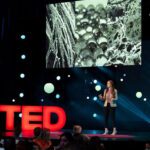 TIME100 Next list recipient Katilyn Sadtler stands on stage, large red "TED" sign to the left, screen showing what looks like a microscope image of cells behind her