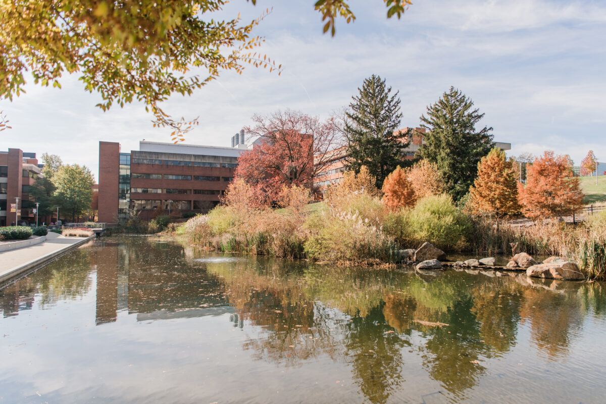 A picturesque view of the library pond in autumn