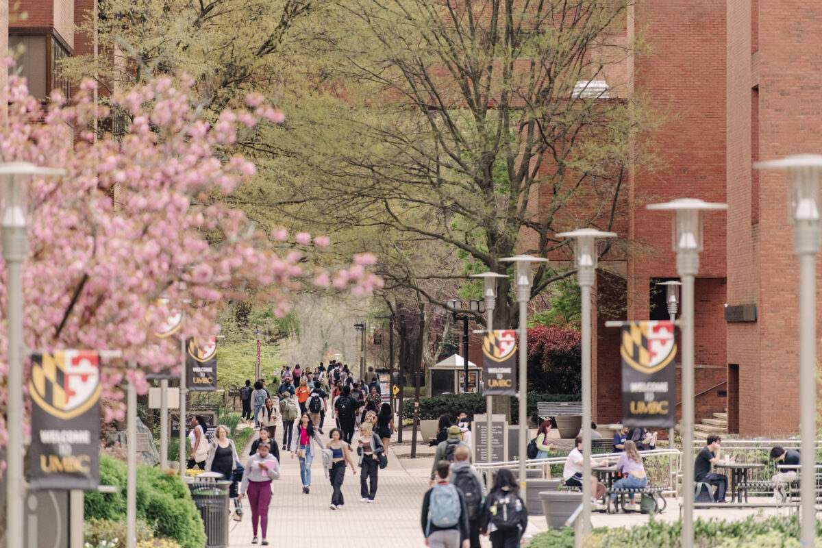 A shot of UMBC's campus with many students walking around. You can see cherry blossoms on the left side of the image in the foreground. There are black banners hanging up with the UMBC logo that says welcome to UMBC.