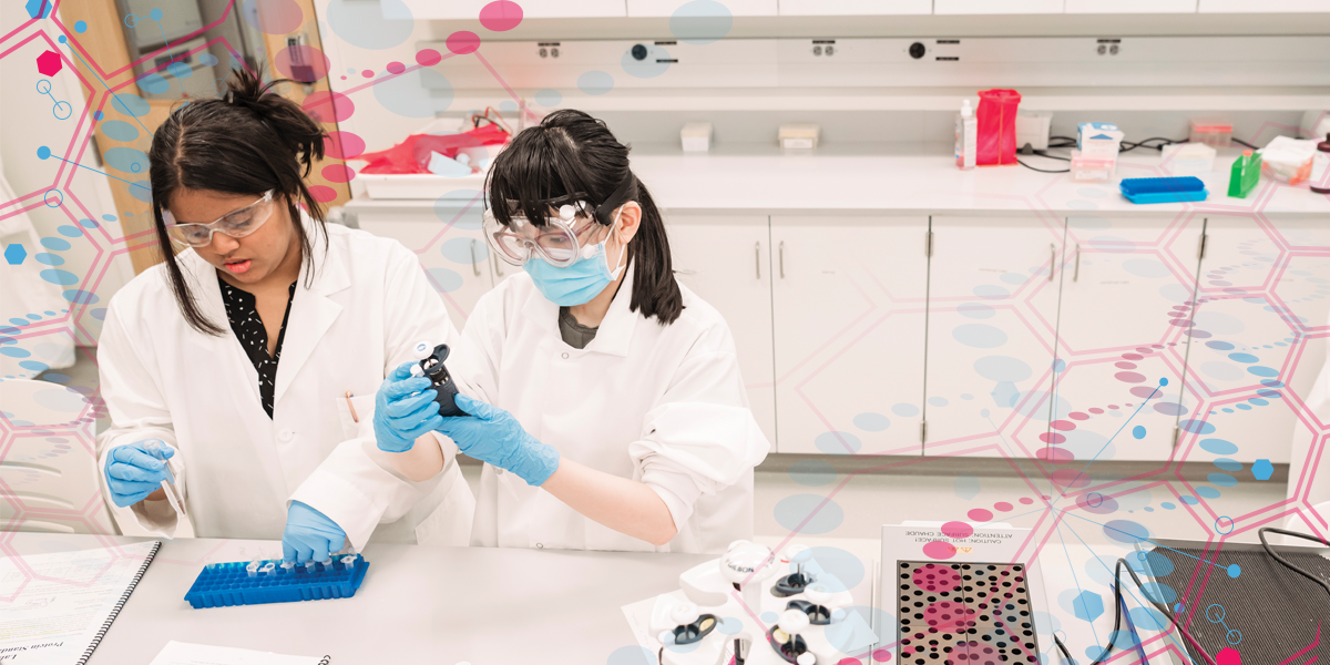 Shreya Swaminathan and Linhdan Tran are carrying out a trypan assay, a protocol used to measure the number of live and dead cells in a sample. It’s one of the many procedures students learn in the Translational Life Science Technology major, which provides students with skills applicable to work in drug discovery and manufacturing.