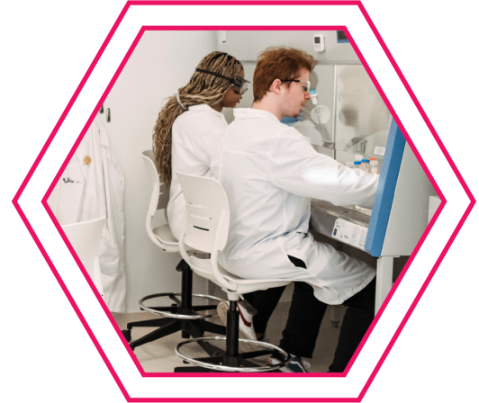 Steven Schaffer (right) and Princess Nyamali work under a biosafety cabinet in Elizabeth Friar's Applied Cell Biology course. 