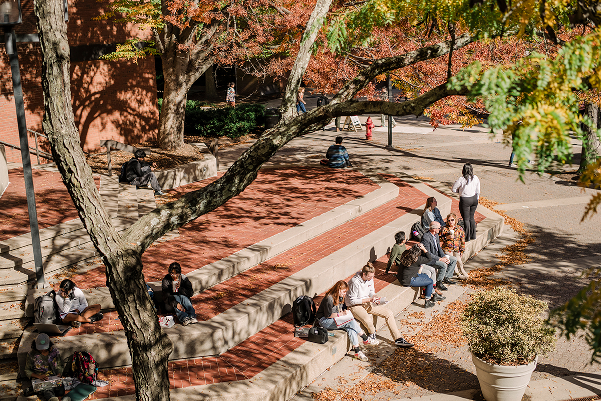 A diverse group of students sitting outside under a tree with autumnal colors in UMBC's university center stairway
