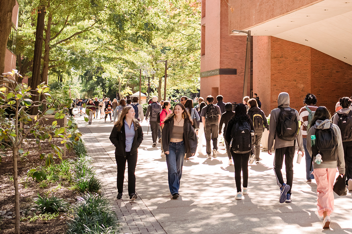 Students walking to class in the fall