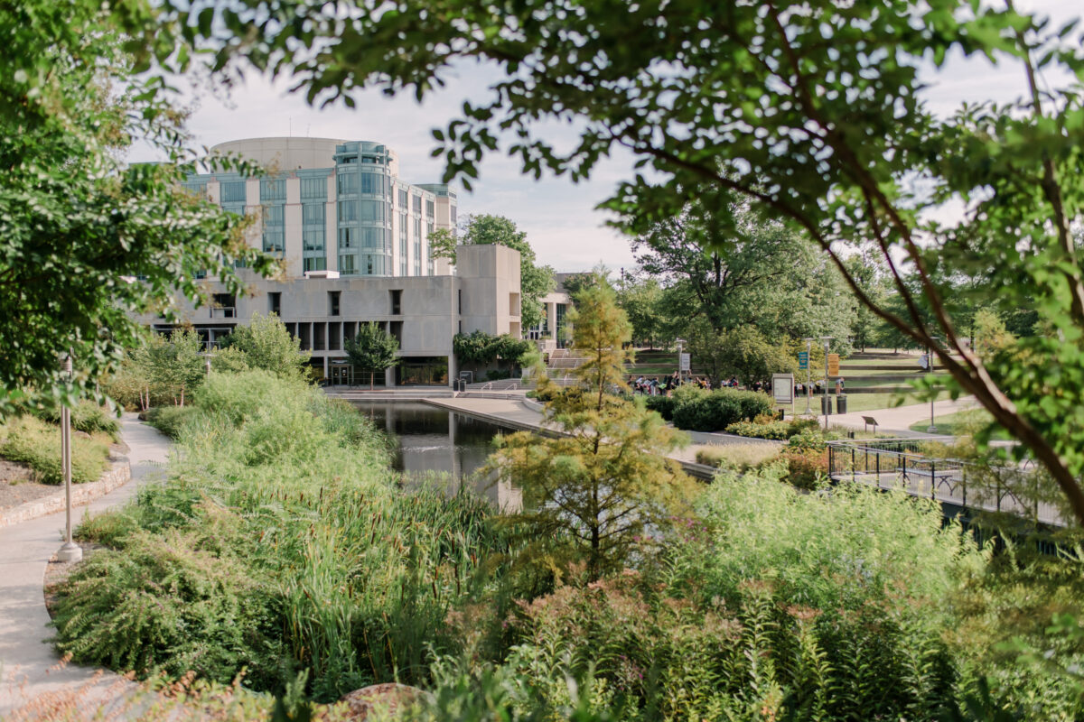 large library in background, large pond surrounded by green plants and with a pedestrian path along one side.