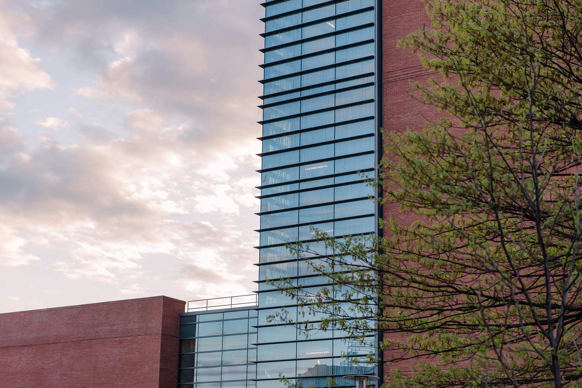 Bachelor Of Arts In Biology Education Undergraduate Programs UMBC