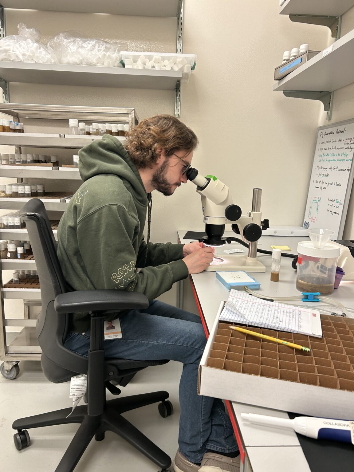 Interdisciplinary UMBC Team Deepens Understanding Of Cell Migration ...