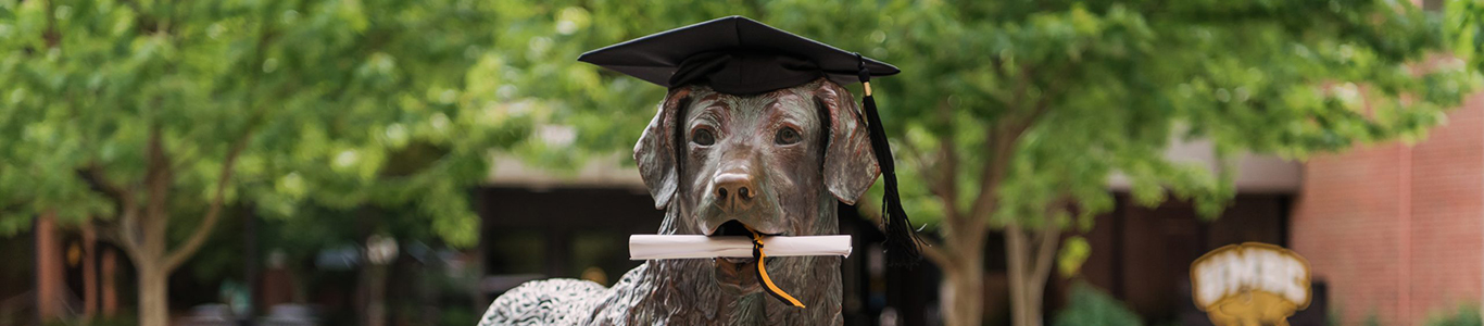 UMBC's mascot true grit statue holding a diploma in his mouth and wearing a graduation cap