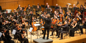 A symphony orchestra performs on stage.
