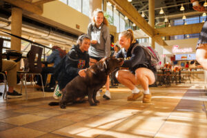 a group of students gather around a brown lab adoringly