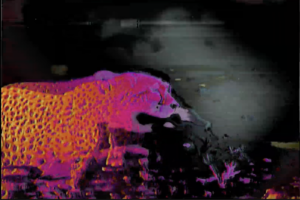 Abstract depiction of a leopard-like creature in vibrant purples, pinks, and oranges against a dark background.