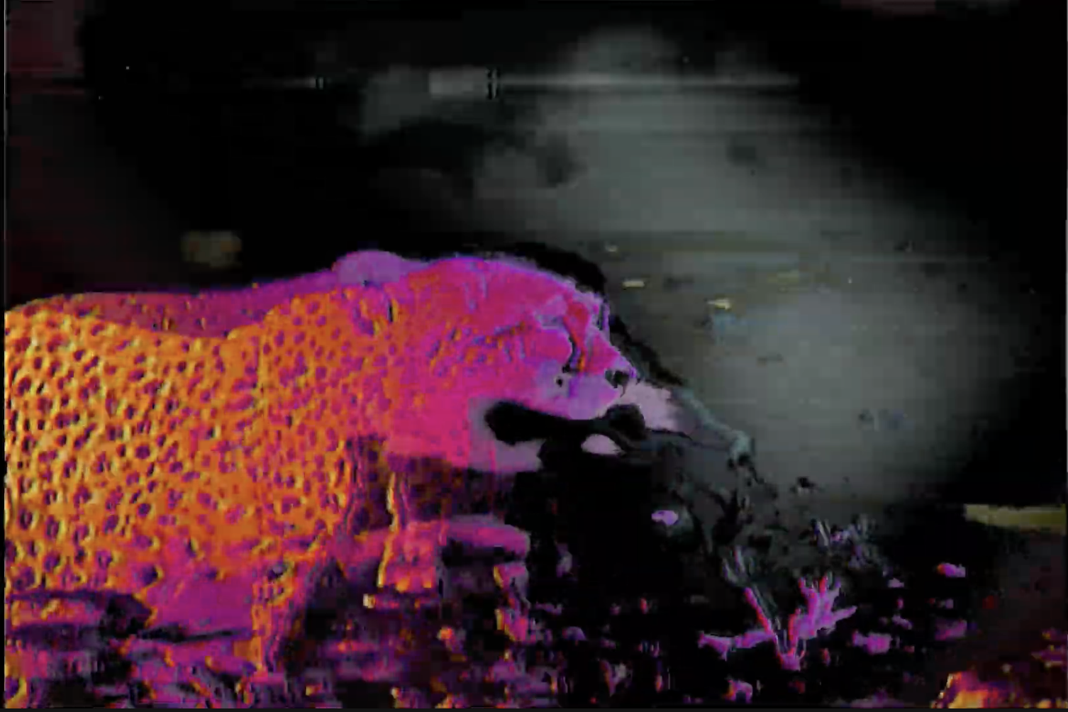 Abstract depiction of a leopard-like creature in vibrant purples, pinks, and oranges against a dark background.