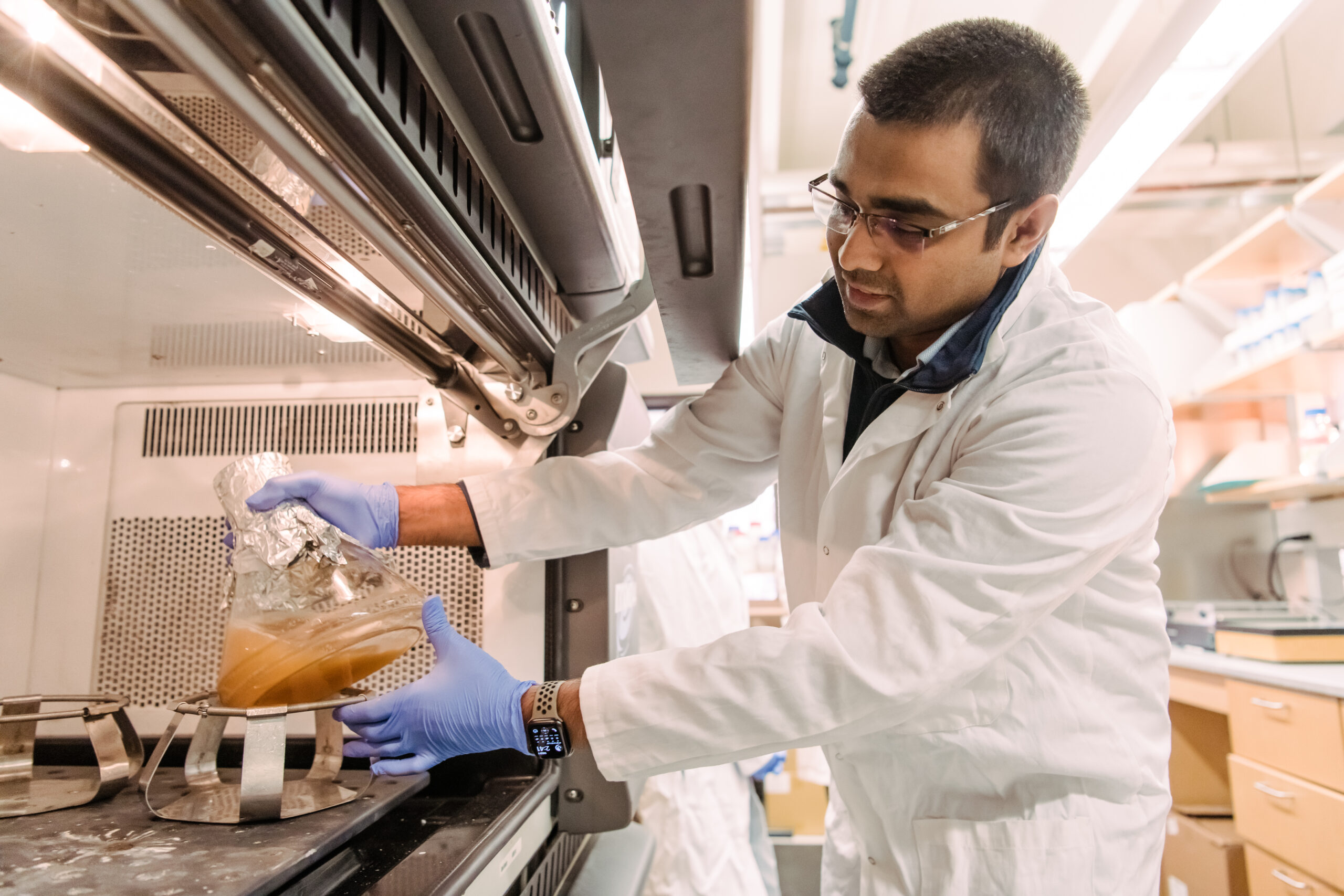 UMBC discovery opens door to broad-spectrum antivirals against dozens of dangerous viruses