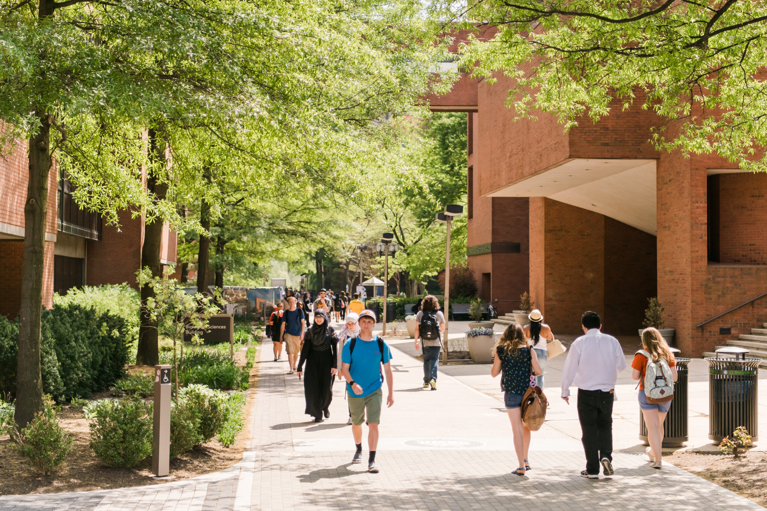 UMBC’s Seneviratne to study how HIV and cancer drugs harm the brain