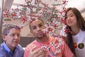 students exploring chemical structures