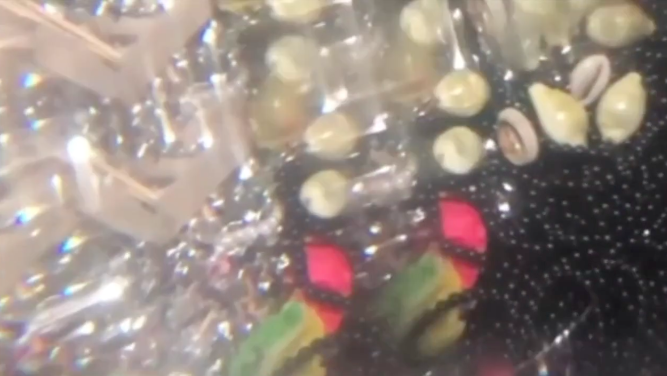 Blurry abstract image featuring small seashells, reflective surfaces, and bold colors.