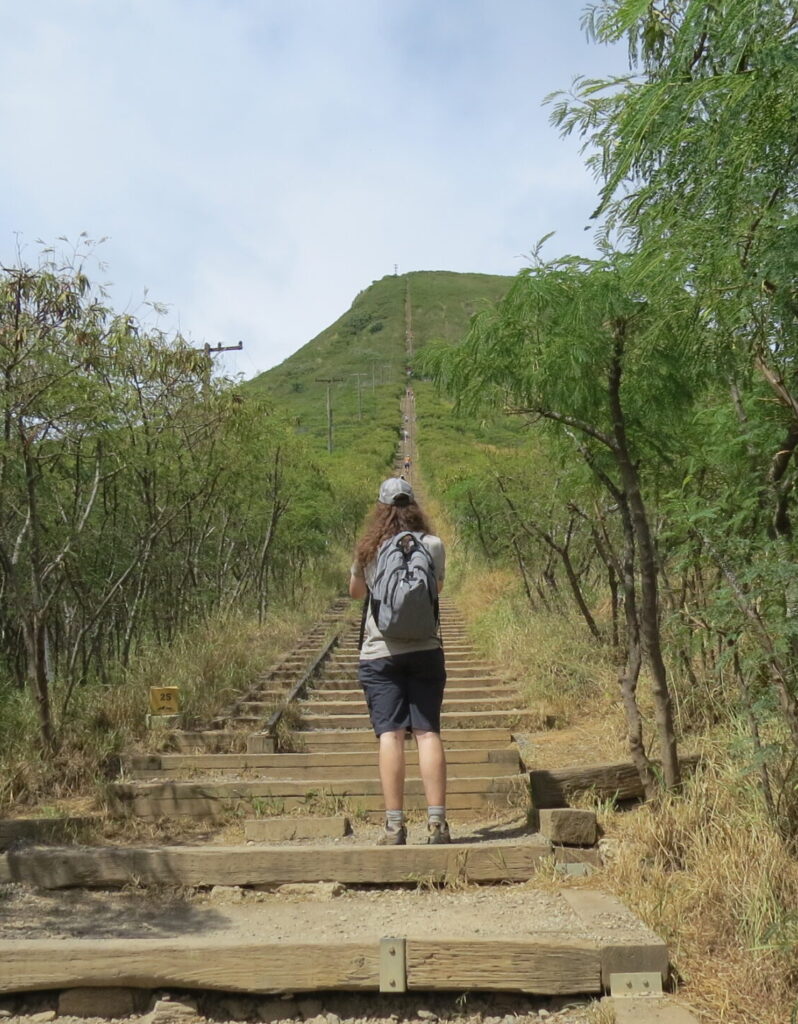 Noah Reichardt peers up at a large flight of stairs with grass on either side