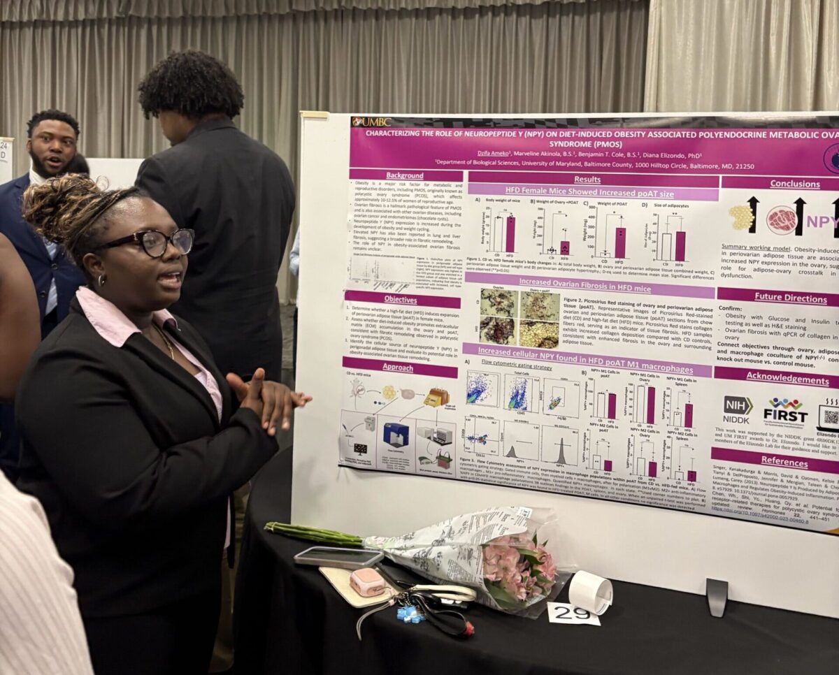 Dzifa Ameko speaks about her research at SURF 2026 in front of her poster, titled, "Characterizing the role of neuropeptide Y (NPY) on diet-induced obesity associated polyendocrine metabolic ovary syndrome (PMOS)