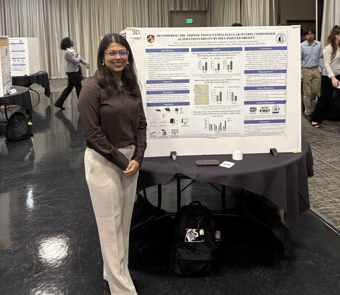 Zaira Ahmed standing beside her research poster, titled, "Deciphering the adipose tissue extracellular matrix composition alterations driven by diet-induced obesity"