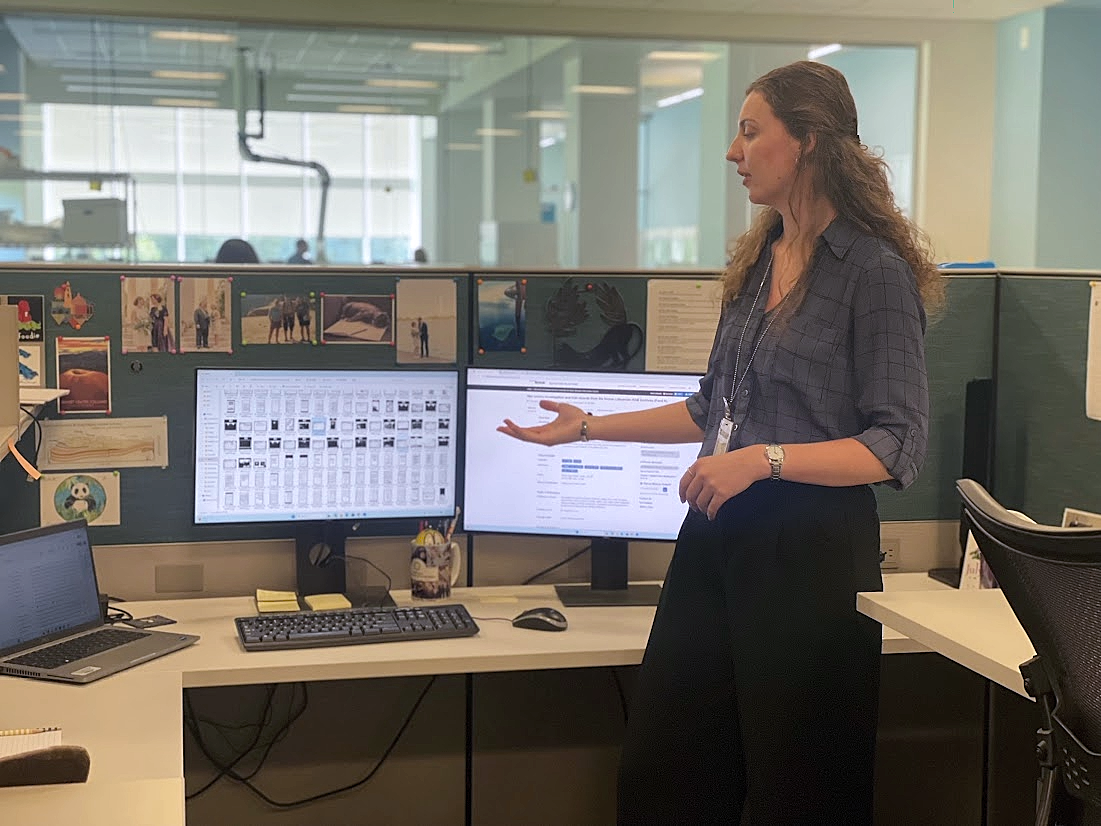 An archivist stands in an office cubicle pointing to two computer screens that display a website and and thumbnails of a digital archive