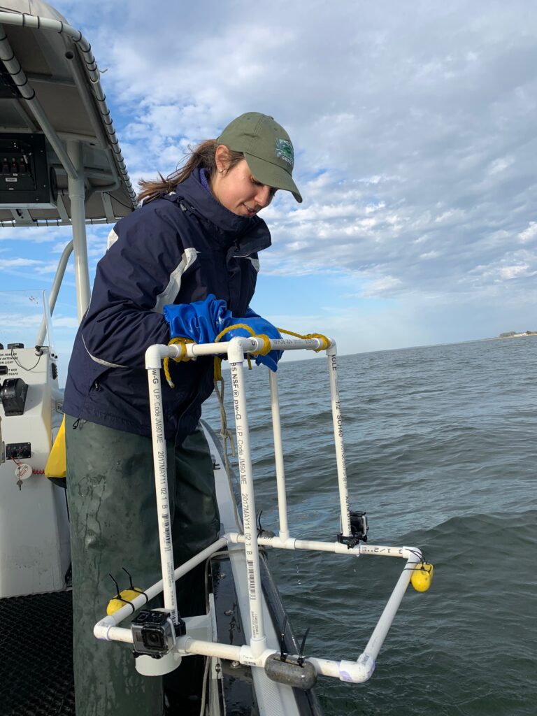 Allison 
Tracy stands on a boat and lowers a PVC pipe contraption into the water