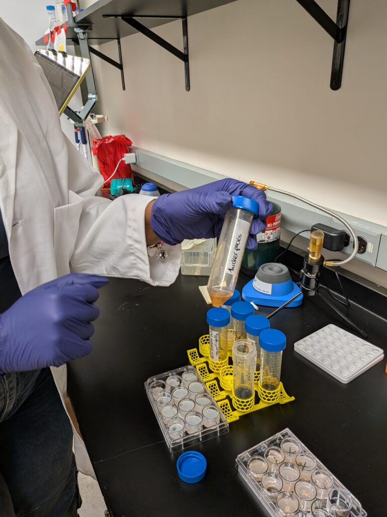 A person in a lab coat and purple gloves holds a test tube over a rack of samples in a laboratory.